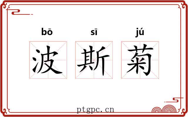 波斯菊