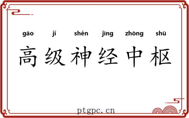 高级神经中枢