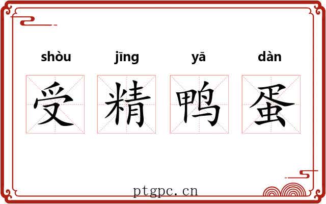 受精鸭蛋 受精鸭蛋