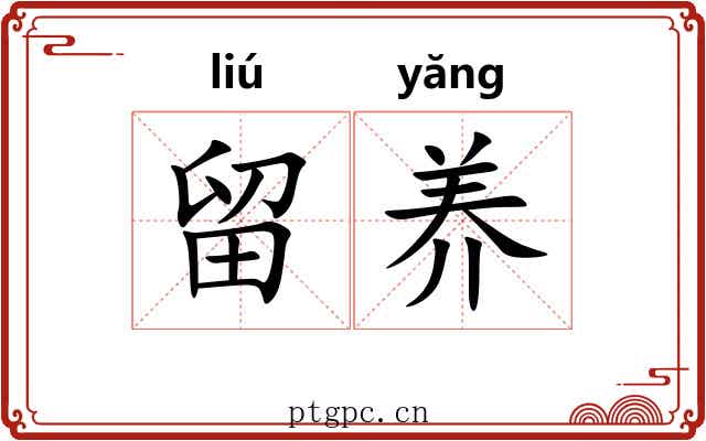 留养