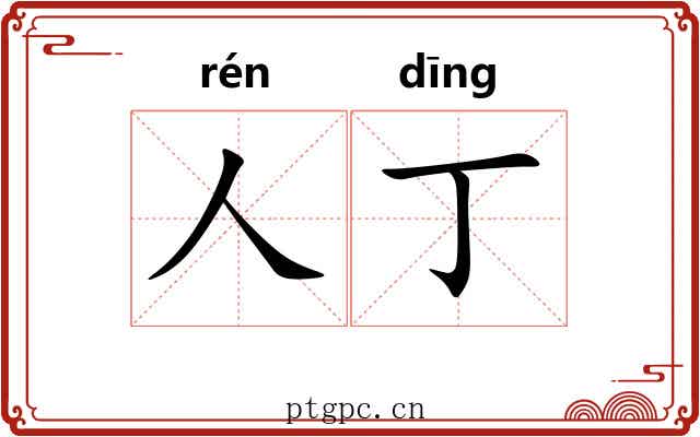 人丁