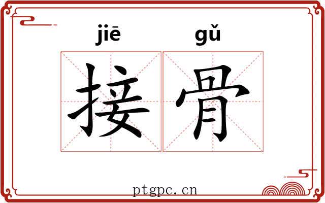 接骨 接骨
