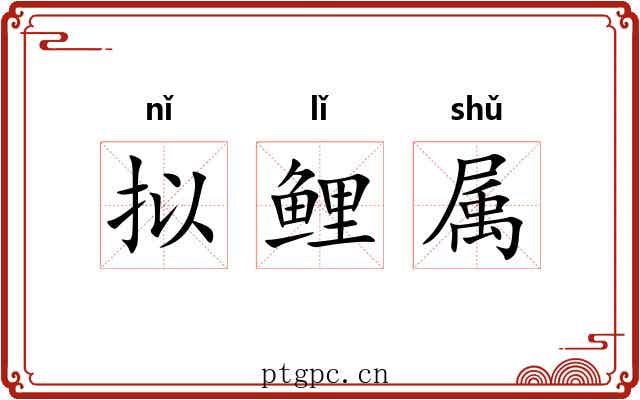 拟鲤属