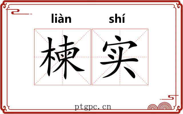楝实 楝实