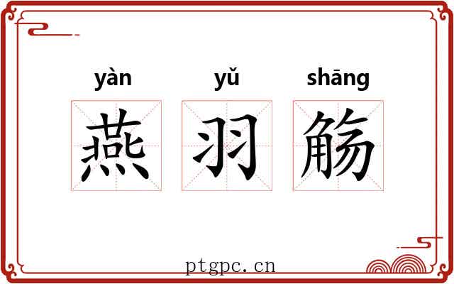 燕羽觞 燕羽觞
