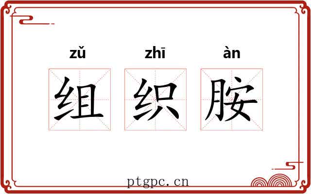 组织胺