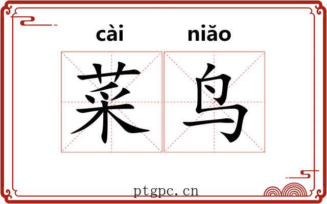 菜鸟
