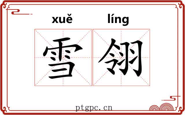 雪翎