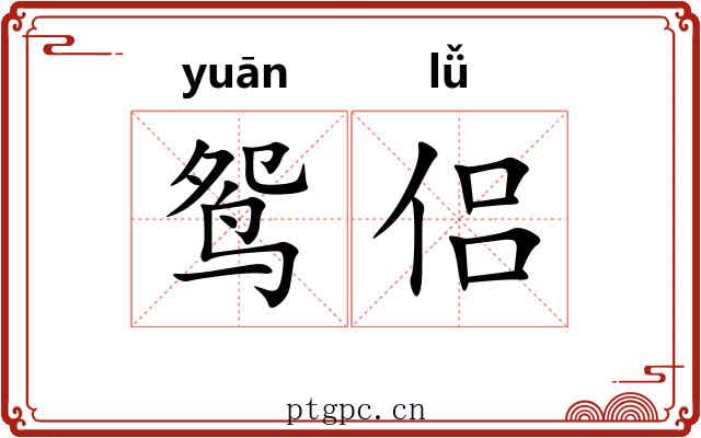 鸳侣