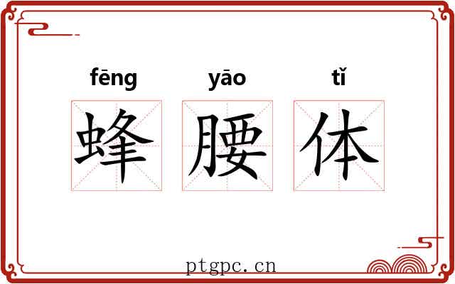 蜂腰体