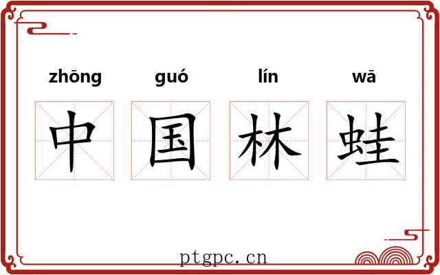 中国林蛙 中国林蛙
