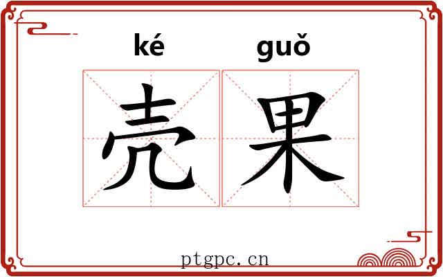 壳果