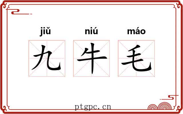 九牛毛 九牛毛