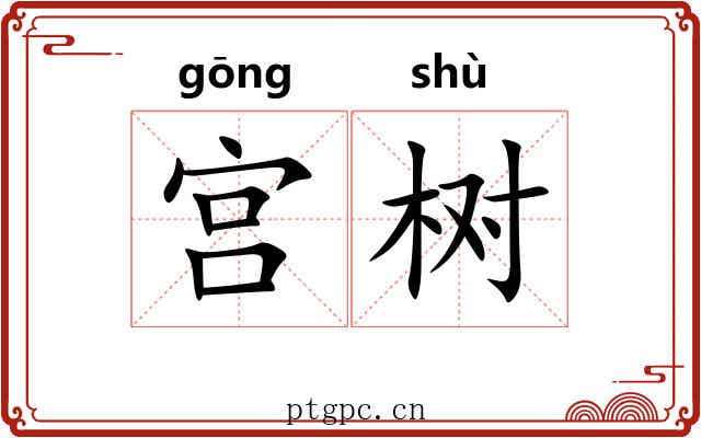 宫树 宫树