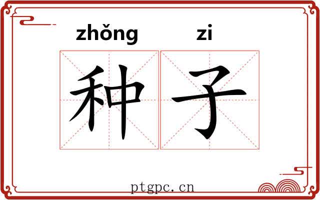种子