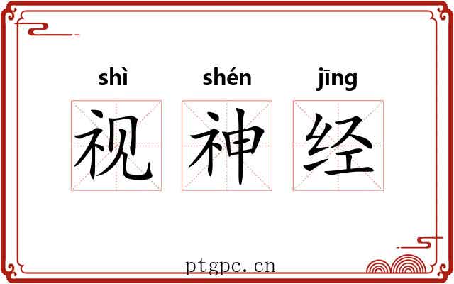 视神经