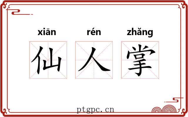 仙人掌