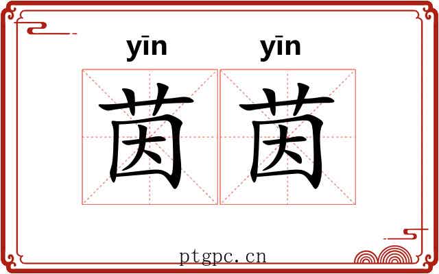 茵茵