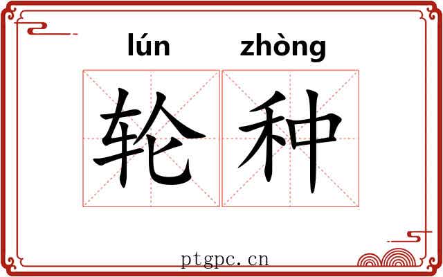 轮种