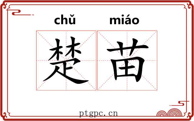 楚苗