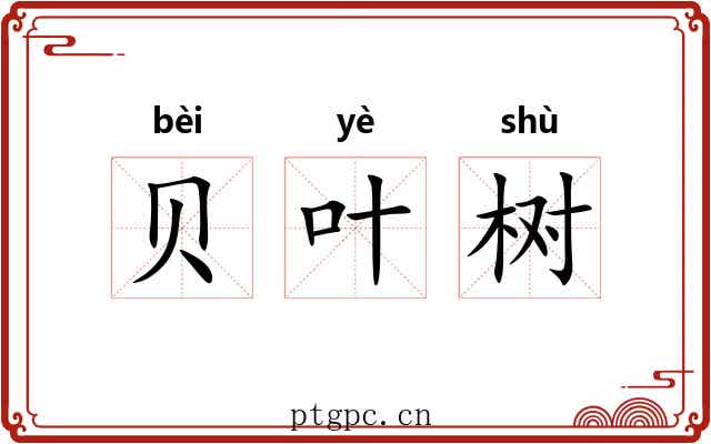 贝叶树 贝叶树
