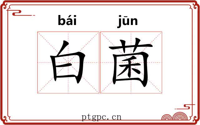 白菌 白菌