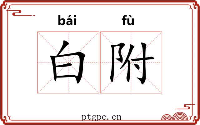 白附 白附