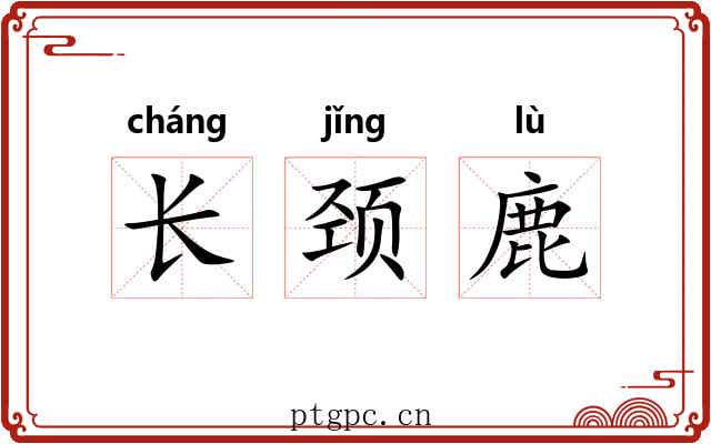长颈鹿 长颈鹿