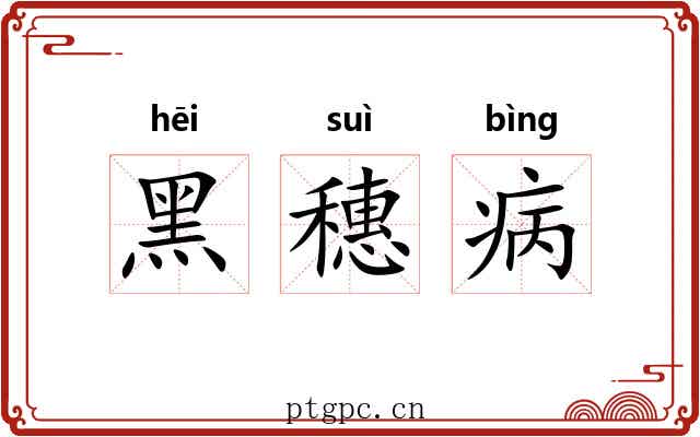 黑穗病 黑穗病