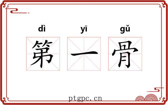 第一骨