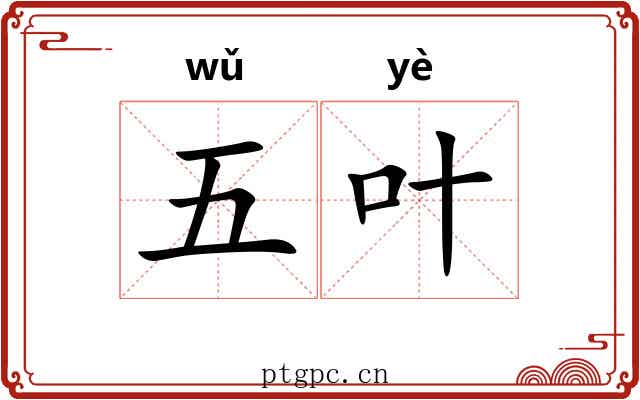 五叶 五叶