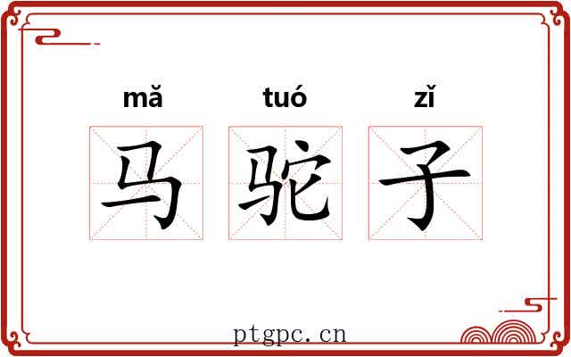 马驼子
