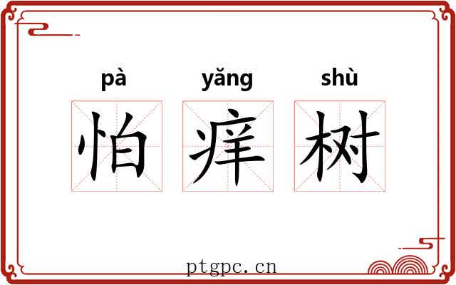 怕痒树