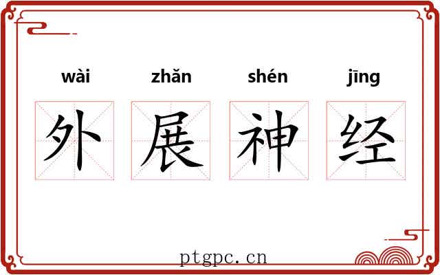 外展神经