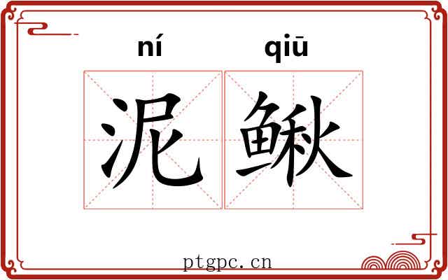 泥鳅