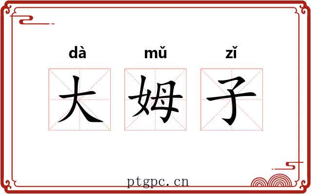 大姆子 大姆子