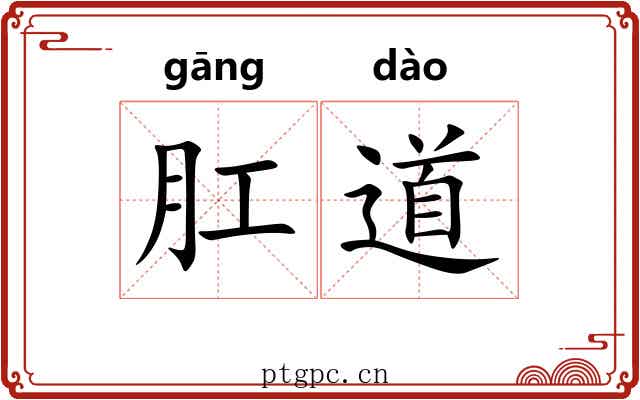 肛道 肛道