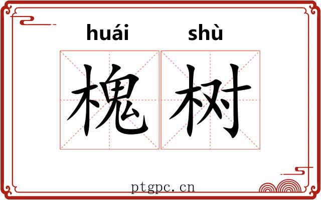 槐树