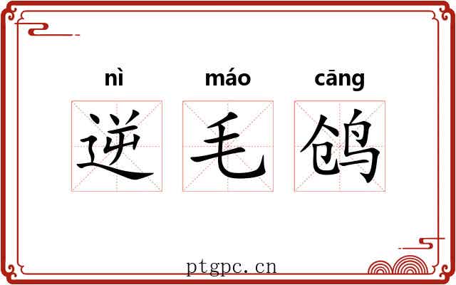 逆毛鸧 逆毛鸧