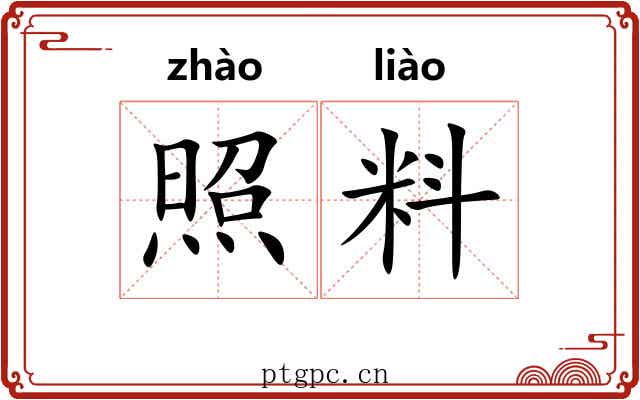 照料