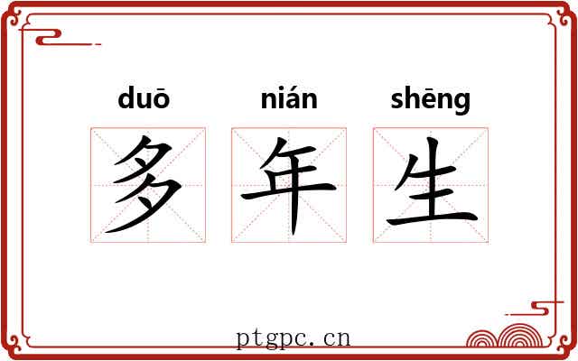 多年生 多年生