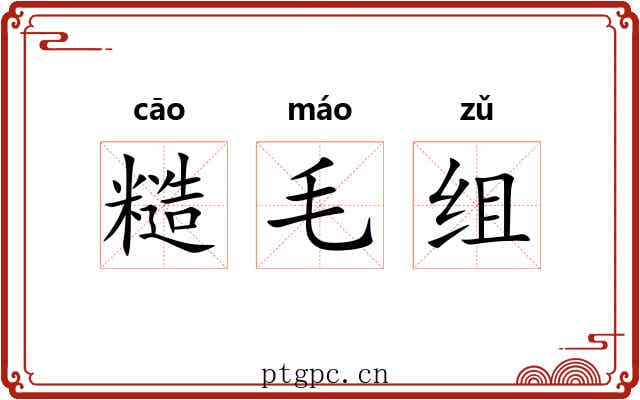 糙毛组 糙毛组
