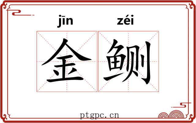 金鲗 金鲗