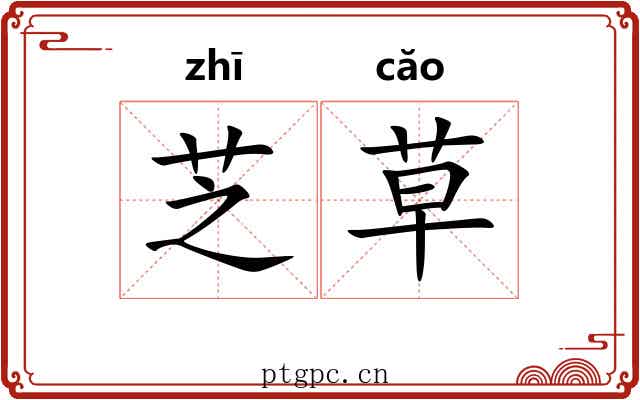 芝草 芝草