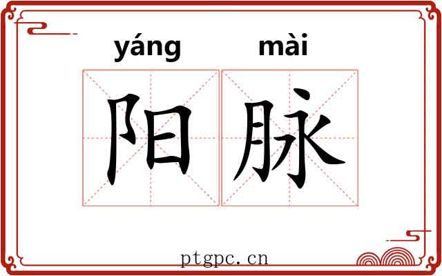阳脉
