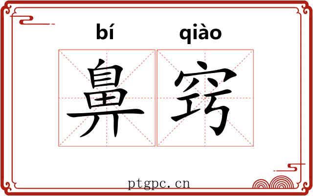 鼻窍
