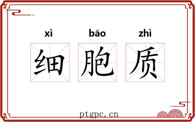 细胞质 细胞质
