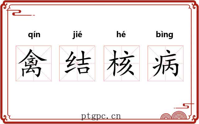 禽结核病 禽结核病