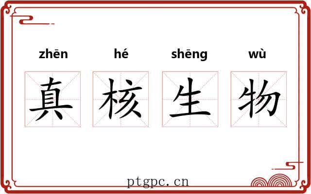 真核生物