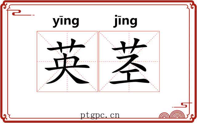 英茎